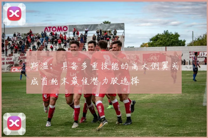 斯温：具备多重技能的高大侧翼或成首轮末最佳潜力股选择