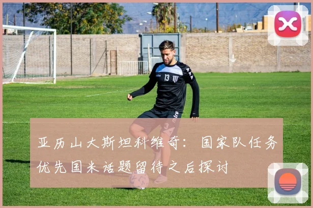 亚历山大斯坦科维奇：国家队任务优先国米话题留待之后探讨