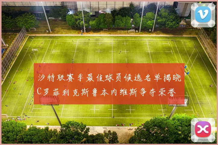 沙特联赛季最佳球员候选名单揭晓C罗菲利克斯鲁本内维斯争夺荣誉